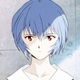 Rei Ayanami (Neon Genesis Evangelion)